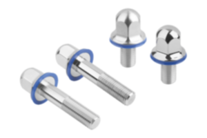Sechskantschrauben Edelstahl mit Dichtring im Hygienic DESIGN Sechskantschrauben Edelstahl mit Dichtring im Hygienic DESIGN